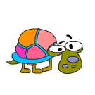  Turtle 