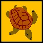  Turtle 